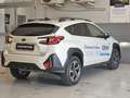 Subaru Crosstrek 2.0i e-Boxer MHEV CVT Lineartronic Style Bianco - thumbnail 15