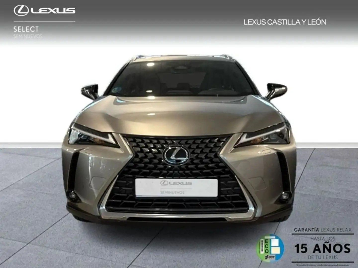 Lexus UX 300h + 2WD Grijs - 2