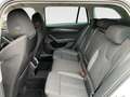 Skoda Octavia Combi 2,0 TDI DSG Style AHK Weiß - thumbnail 9