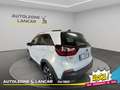 Honda Jazz Crosstar 1.5 HEV Executive eCVT 98cv 1 PROPRIETARI Bianco - thumbnail 5