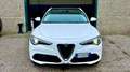 Alfa Romeo Stelvio 2.2 Turbodiesel 190 CV AT8 RWD Executive Bianco - thumbnail 3
