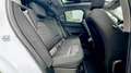 Alfa Romeo Stelvio 2.2 Turbodiesel 190 CV AT8 RWD Executive Bianco - thumbnail 13