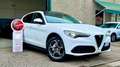 Alfa Romeo Stelvio 2.2 Turbodiesel 190 CV AT8 RWD Executive Bianco - thumbnail 1