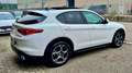 Alfa Romeo Stelvio 2.2 Turbodiesel 190 CV AT8 RWD Executive Bianco - thumbnail 9