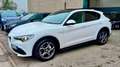 Alfa Romeo Stelvio 2.2 Turbodiesel 190 CV AT8 RWD Executive Bianco - thumbnail 4