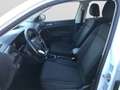 Volkswagen T-Cross 1.0 TSI Life Bianco - thumbnail 10