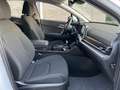 Kia Sportage 1.6 TGDI 150CV MHEV DCT UNIPROP. GARANZIA 6 ANNI Bianco - thumbnail 11