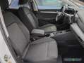 Volkswagen Golf 8 Var. 1.5 eTSI Life DSG ACC Navi PDC Sitzh. Weiß - thumbnail 9
