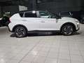 Hyundai BAYON 1.2 MPI MT Exclusive Bianco - thumbnail 9