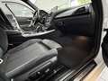 BMW 135 Mi xDrive Sport-Aut. ADAPTIVE FW NAVI H&K Bianco - thumbnail 9
