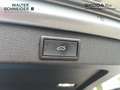 Skoda Superb Combi 2.0 TDI DSG Sportline Navi LED DCC Grau - thumbnail 11