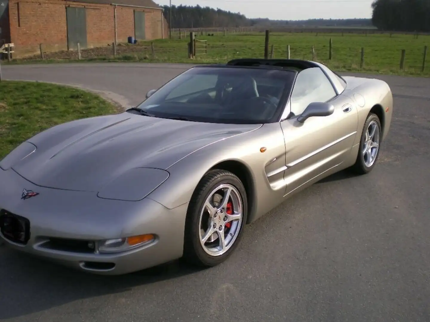 Corvette C5 Targa Blanc - 1