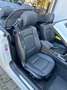 BMW 335 335i Cabrio Aut.Edition Exclusive Weiß - thumbnail 11