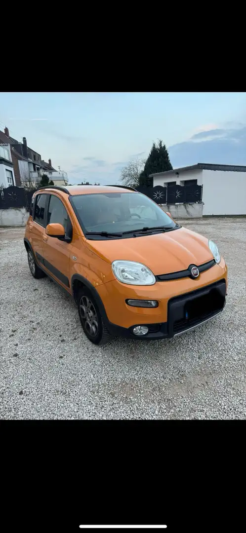Fiat Panda 1.3 mjt 16v 4x4 75cv E5+ - 1