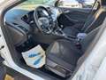 Ford Focus Turnier Business Weiß - thumbnail 16
