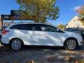 Ford Focus Turnier Business Weiß - thumbnail 5