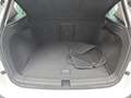SEAT Ateca ATECA 1.0 TSI  STYLE NAVI LED WINTER FULL-LINK DAB Alb - thumbnail 15