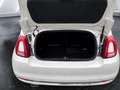 Fiat 500C Cabrio 1.0 Mild-Hybrid ''DolceVita'' Navi Parksens Weiß - thumbnail 12