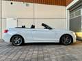BMW 240 xDrive Cabriolet - kein OPF Blanc - thumbnail 7