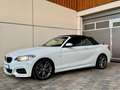 BMW 240 xDrive Cabriolet - kein OPF Blanc - thumbnail 6