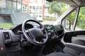Peugeot Boxer Kasten L2H2 BlueHDi 130 Klima/PDC/Regale Alb - thumbnail 11