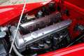 Jaguar XK XK120 OTS Roadster Restored Roadster from final ye Rot - thumbnail 34