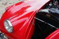 Jaguar XK XK120 OTS Roadster Restored Roadster from final ye Rot - thumbnail 37