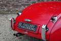 Jaguar XK XK120 OTS Roadster Restored Roadster from final ye Rot - thumbnail 22