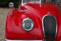 Jaguar XK XK120 OTS Roadster Restored Roadster from final ye Rot - thumbnail 16