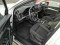 Audi Q5 2.0 TDI S-line Virtu.Cockpit Pano-Dach R-Kam Sthzg Weiß - thumbnail 17