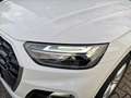 Audi Q5 2.0 TDI S-line Virtu.Cockpit Pano-Dach R-Kam Sthzg Weiß - thumbnail 37