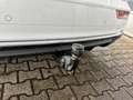 Audi Q5 2.0 TDI S-line Virtu.Cockpit Pano-Dach R-Kam Sthzg Weiß - thumbnail 14