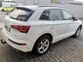 Audi Q5 2.0 TDI S-line Virtu.Cockpit Pano-Dach R-Kam Sthzg Weiß - thumbnail 34