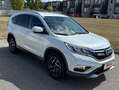 Honda CR-V CR-V 1,6i-DTEC Elegance plus 4WD Aut. Elegance plus Weiß - thumbnail 2