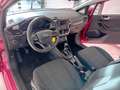 Ford Fiesta Fiesta 3p 1.5 ecoblue (tdci) Plus 85cv my19 Rood - thumbnail 21