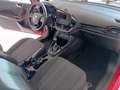 Ford Fiesta Fiesta 3p 1.5 ecoblue (tdci) Plus 85cv my19 Rood - thumbnail 17