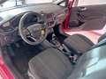 Ford Fiesta Fiesta 3p 1.5 ecoblue (tdci) Plus 85cv my19 Rood - thumbnail 11