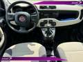 Fiat Panda 0.9 t.air turbo Easy 85cv - thumbnail 7