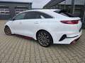 Kia ProCeed / pro_cee'd ProCeed GT*Led*ACC*JBL*PANO*E-Klappe*VOLL*VOLL* Weiß - thumbnail 8