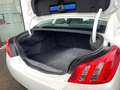 Peugeot 508 *AUTOMAAT*1.6HDI*ZETELVERWARMING* Wit - thumbnail 7