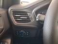 Ford Focus Focus 1.5 EcoBlue 115 CV automatico SW ST-Line Grau - thumbnail 24