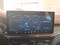 Ford Focus Focus 1.5 EcoBlue 115 CV automatico SW ST-Line Grau - thumbnail 22