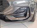 Ford Focus Focus 1.5 EcoBlue 115 CV automatico SW ST-Line Grau - thumbnail 9