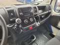 Fiat Ducato 13990 + IVA 290 CH1 2.3 MJT 120 CV E6D-TEMP Blu/Azzurro - thumbnail 8