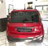 Fiat Panda 1.0 firefly hybrid City Cross s Rot - thumbnail 5