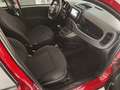 Fiat Panda 1.0 firefly hybrid City Cross s Rot - thumbnail 13