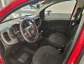 Fiat Panda 1.0 firefly hybrid City Cross s Rot - thumbnail 10