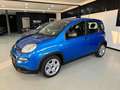 Fiat Panda 1.0 FireFly S&S Hybrid Bleu - thumbnail 3