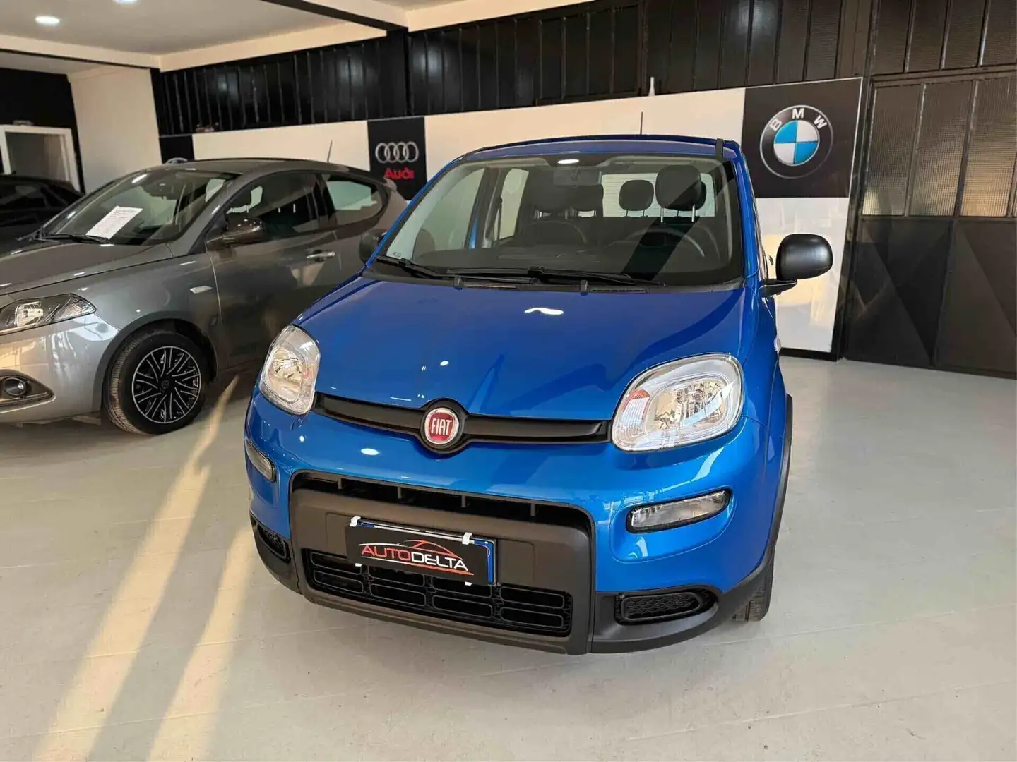 Fiat Panda 1.0 FireFly S&S Hybrid Bleu - 2