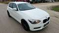 BMW 116 Weiß - thumbnail 2